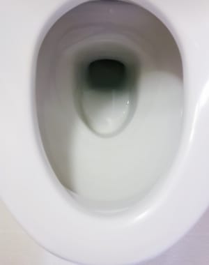 トイレの詰まり
