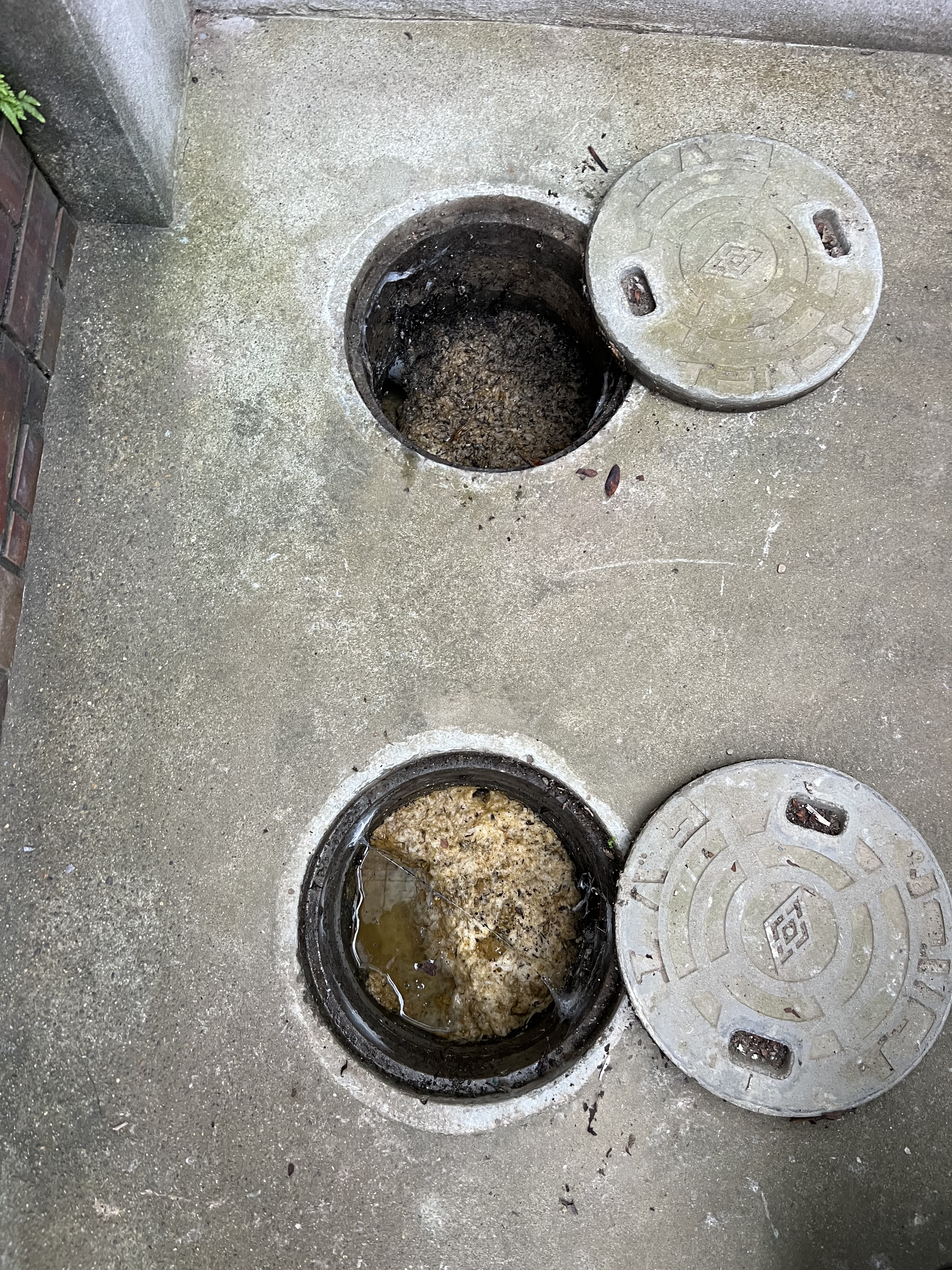 千葉県柏市にて下水つまり修理工事前写真