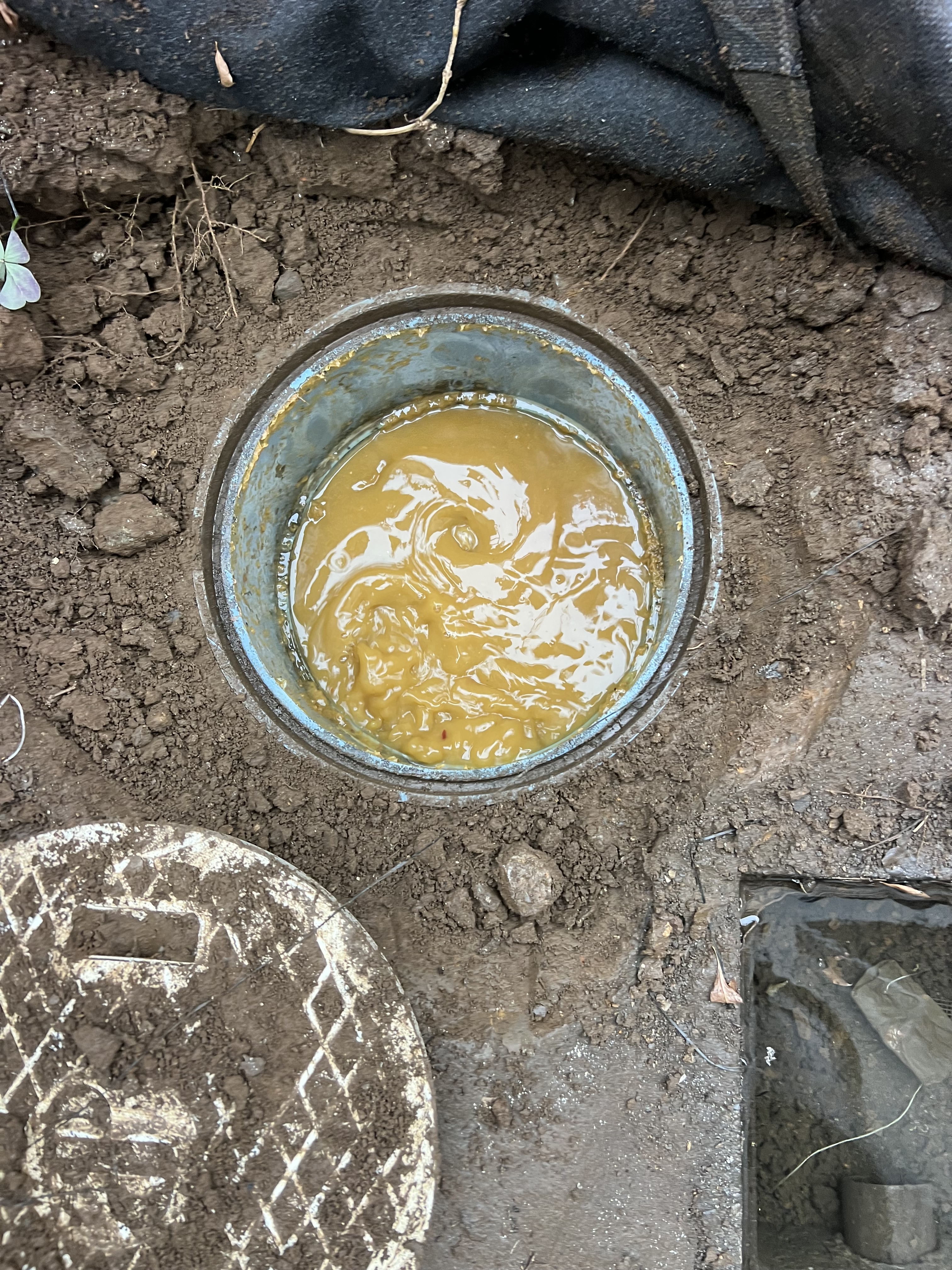 茨城県牛久市にて下水つまり修理工事前写真