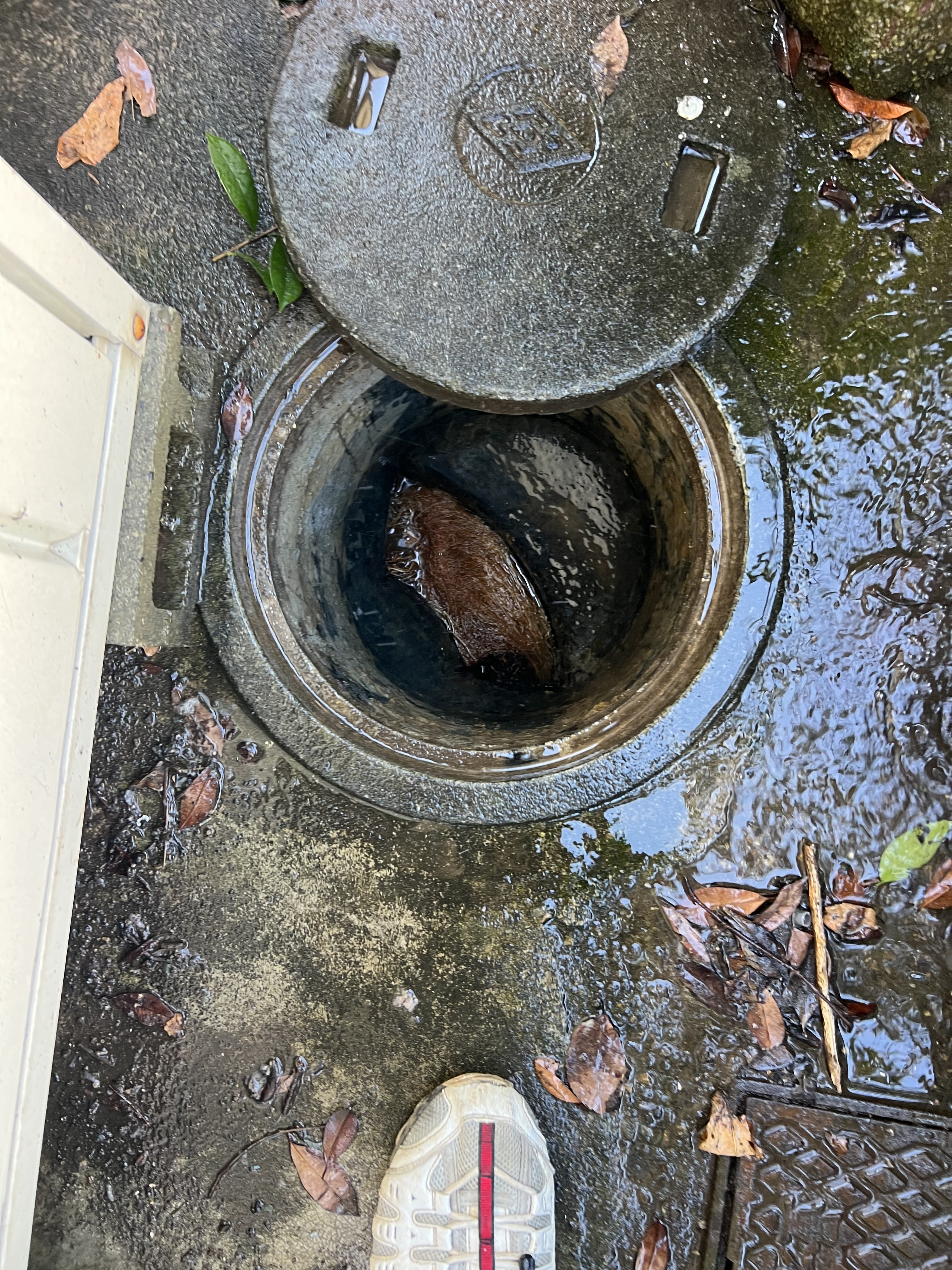 千葉県柏市にてトイレのつまり修理工事前写真