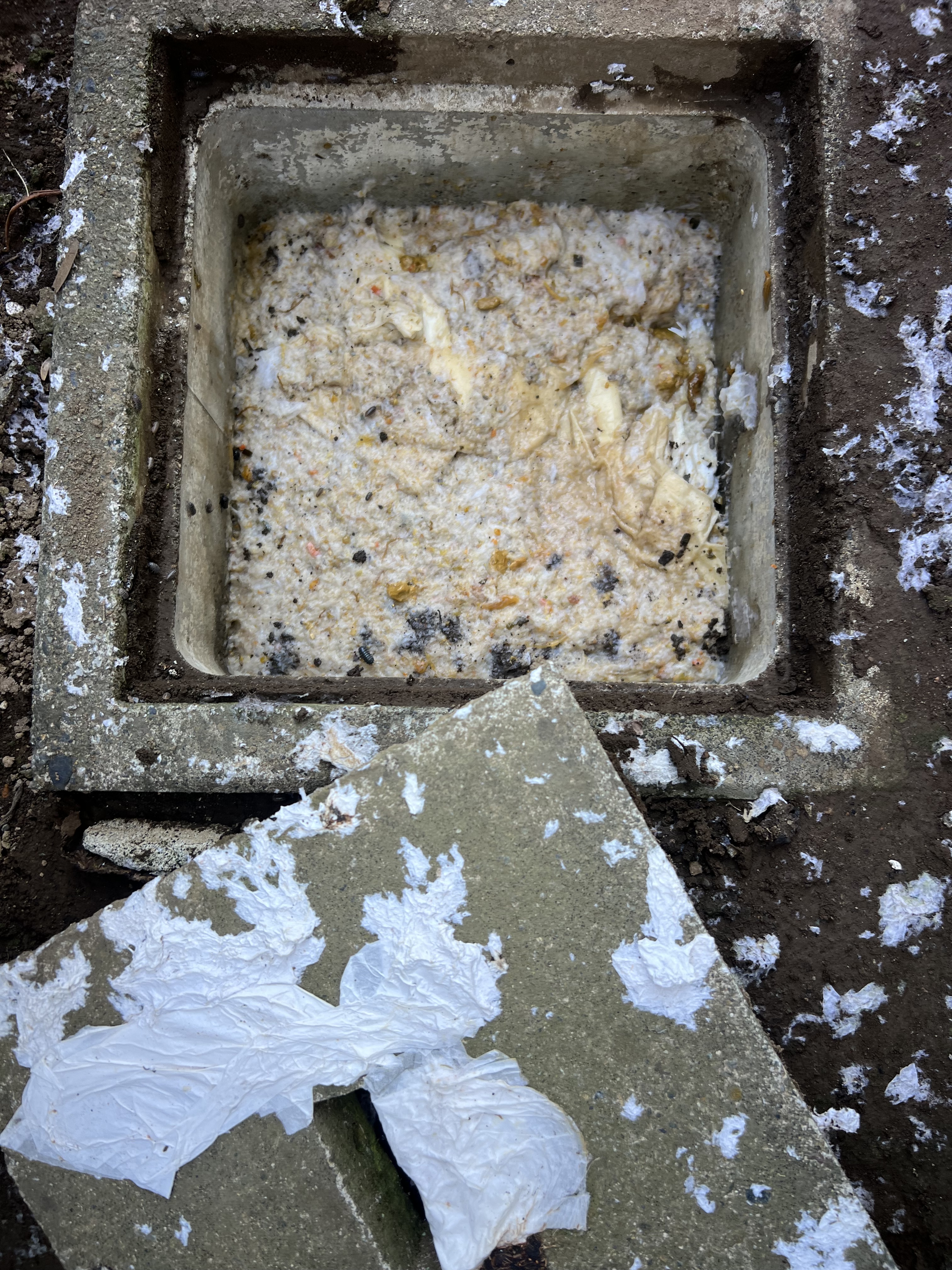 茨城県筑西市にてトイレつまり修理工事前写真